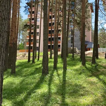 Stevovic Apartment, Pine Wood View, Apartamento Zlatibor