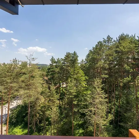 Apartamento Stevovic Apartment, Pine Wood View, *
