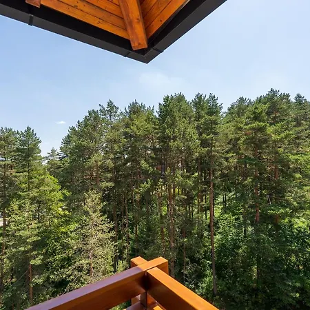 Lägenhet Stevovic Apartment, Pine Wood View, *