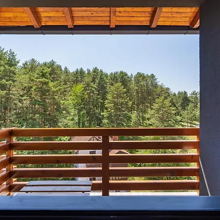 Stevovic Apartment, Pine Wood View, *