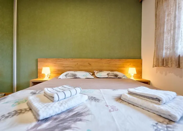 Apartament Stevovic Apartment, Pine Wood View, *