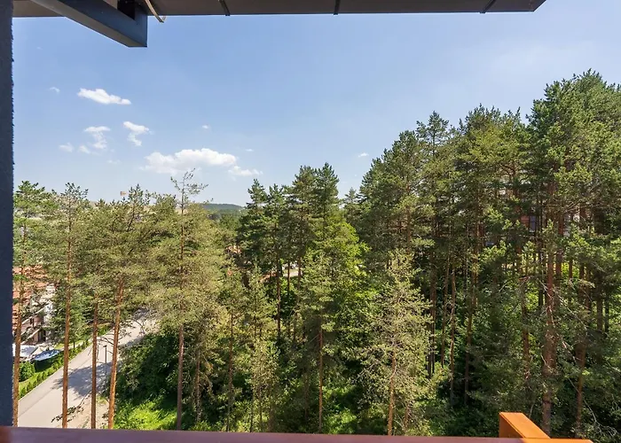 Apartament Stevovic Apartment, Pine Wood View, *