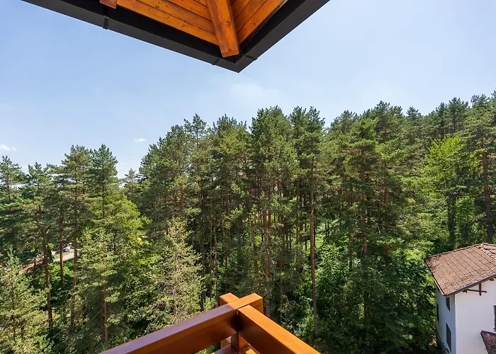 Apartament Stevovic Apartment, Pine Wood View, *