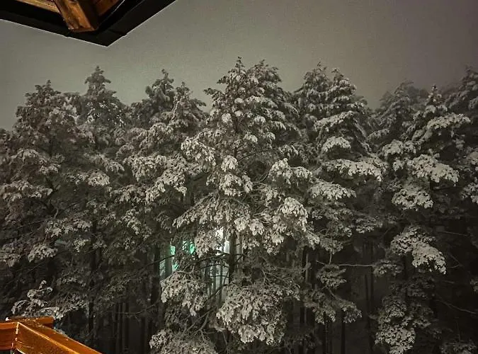 Stevovic Apartment, Pine Wood View, Apartament Zlatibor